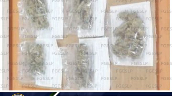 PDI DETUVO A MENOR DE EDAD EN POSESIÓN DE MARIHUANA EN SAN VICENTE