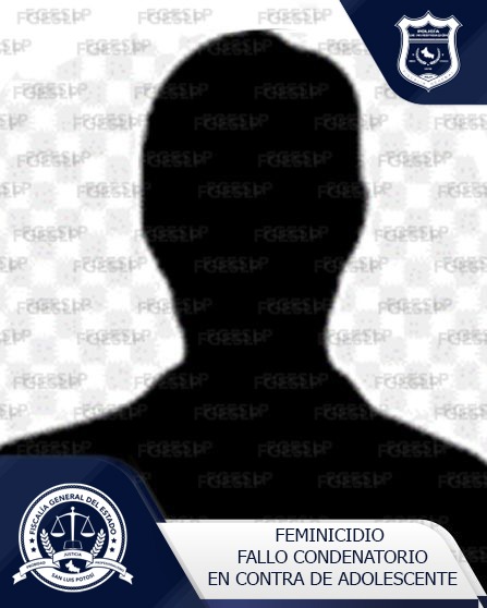 POR DOS FEMINICIDIOS, FISCALÍA ESPECIALIZADA EN DERECHOS HUMANOS LOGRA FALLO CONDENATORIO CONTRA UN ADOLESCENTE POR DOS FEMINICIDIOS, FISCALÍA ESPECIALIZADA EN DERECHOS HUMANOS LOGRA FALLO CONDENATORIO CONTRA UN ADOLESCENTE
