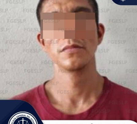 FGESLP DETIENE A SERGIO “N”, SEÑALADO POR DAÑO EN LAS COSAS