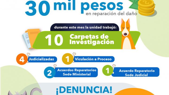 EN SEPTIEMBRE, FISCALÍA POTOSINA OBTUVO 4 CARPETAS JUDICIALIZADAS POR MALTRATO ANIMAL