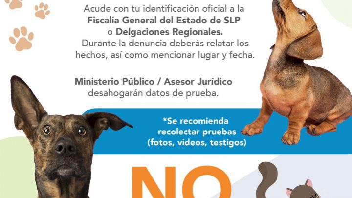 FISCALÍA DE SLP INVESTIGA PRESUNTO ENVENENAMIENTO DE CANES EN POZUELOS