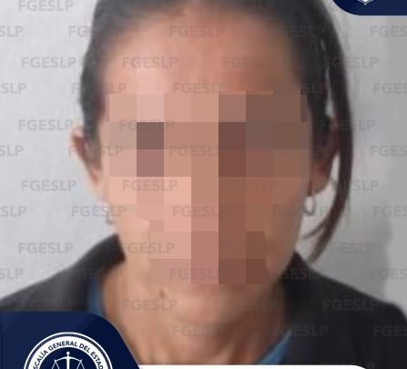 PDI APREHENDE A MUJER IMPUTADA DE VIOLENCIA FAMILIAR Y LESIONES