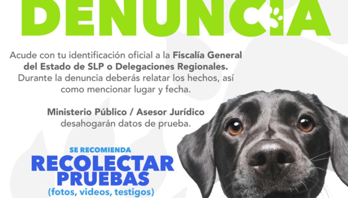 FISCALÍA INTEGRA ASUNTO POR LA MUERTE DE UN CANINO EN COLONIA LA VIRGEN, SGS FISCALÍA INTEGRA ASUNTO POR LA MUERTE DE UN CANINO EN COLONIA LA VIRGEN, SGS