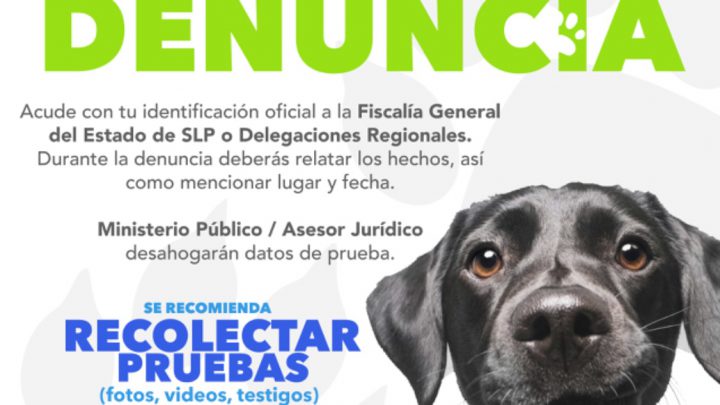 FISCALÍA INTEGRA ASUNTO POR LA MUERTE DE UN CANINO EN COLONIA LA VIRGEN, SGS