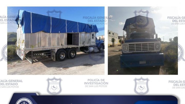 EN VILLA DE REYES, PDI ASEGURA CAMIÓN CON REPORTE DE ROBO