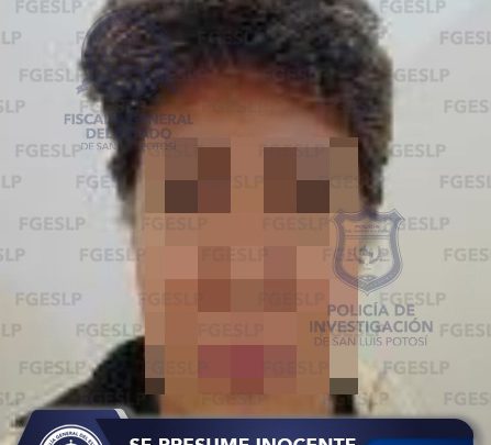POR USURPACIÓN DE FUNCIONES PÚBLICAS PDI DETIENE A MUJER