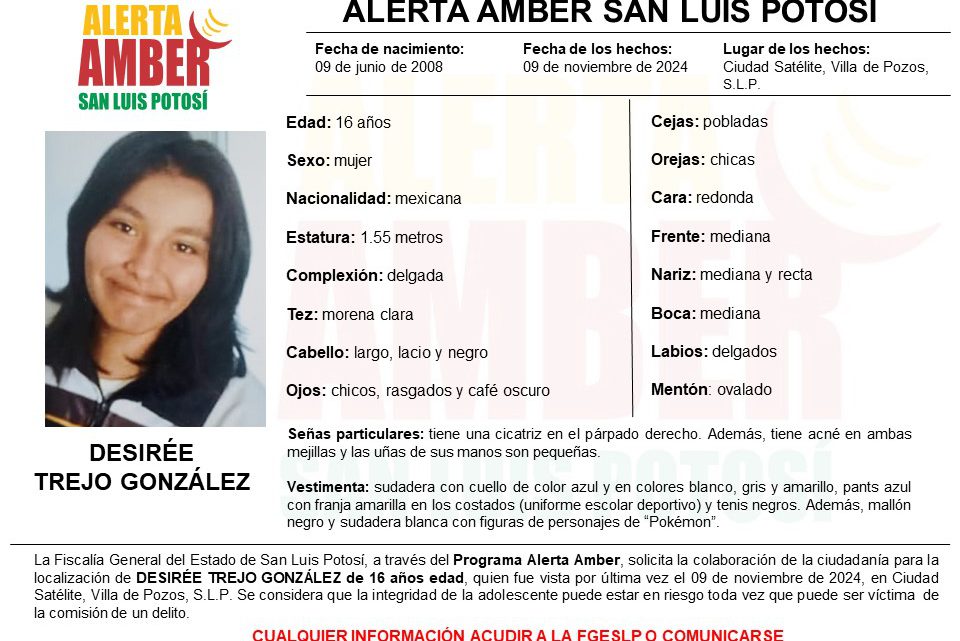 FGESLP ACTIVA PROTOCOLO DE ALERTA AMBER PARA LOCALIZAR A ADOLESCENTE EN VILLA DE POZOS FGESLP ACTIVA PROTOCOLO DE ALERTA AMBER PARA LOCALIZAR A ADOLESCENTE EN VILLA DE POZOS