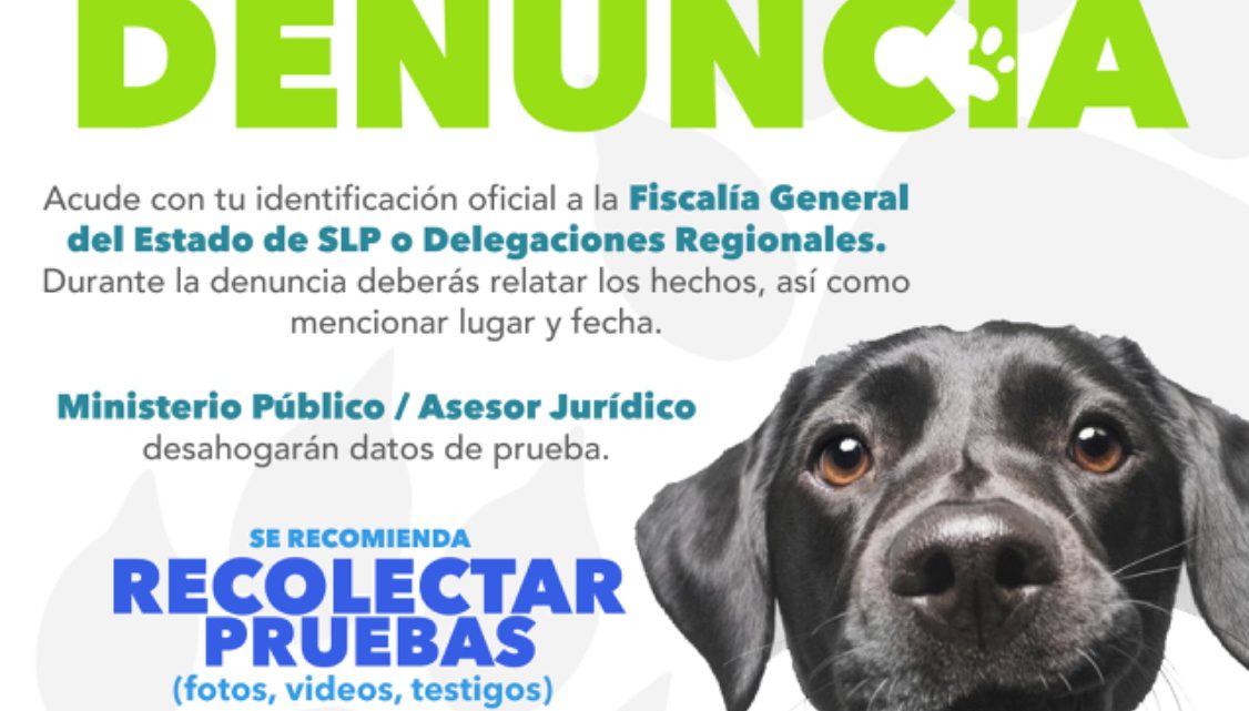FISCALÍA MANTIENE ACCIONES CONTRA EL MALTRATO ANIMAL EN SLP FISCALÍA MANTIENE ACCIONES CONTRA EL MALTRATO ANIMAL EN SLP