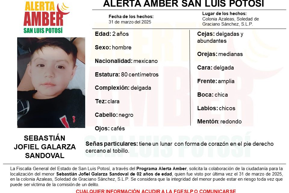 FGESLP ACTIVA FICHA DE ALERTA AMBER PARA LOCALIZAR A UN NIÑO EN SGS FGESLP ACTIVA FICHA DE ALERTA AMBER PARA LOCALIZAR A UN NIÑO EN SGS