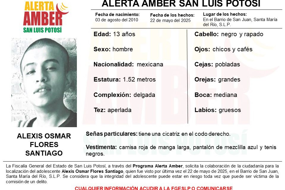 ACTIVA FISCALÍA DE SLP UNA ALERTA AMBER PARA LOCALIZAR A UN ADOLESCENTE EN SANTA MARÍA DEL RÍO
