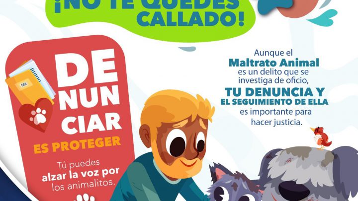 FISCALÍA EXHORTA A DENUNCIAR CONDUCTAS QUE ATENTEN CONTRA ANIMALES DOMÉSTICOS O SILVESTRES EN SLP