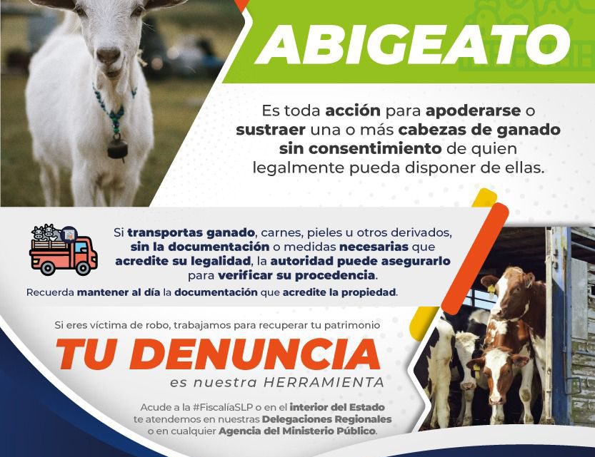 FISCALÍA MANTIENE ACCIONES PERMANENTES EN COMBATE AL ABIGEATO EN SLP FISCALÍA MANTIENE ACCIONES PERMANENTES EN COMBATE AL ABIGEATO EN SLP